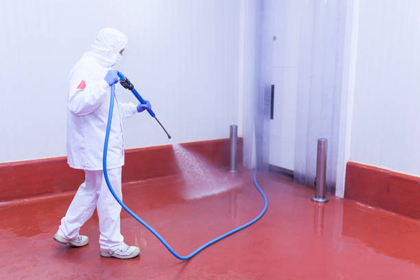 Best Boat and Dock Cleaning  in Glens Falls North, NY